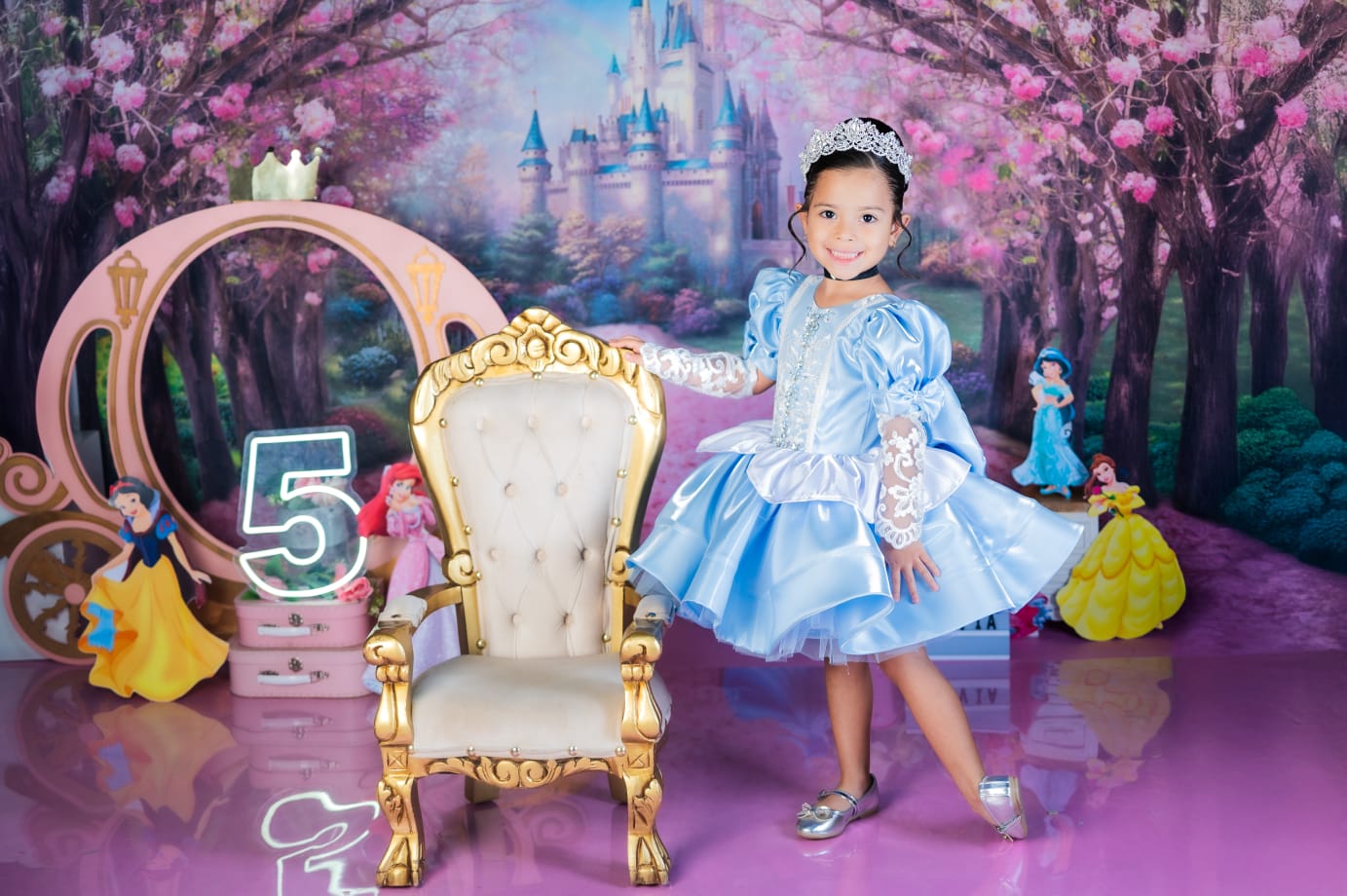 Cenicienta y princesas Disney 